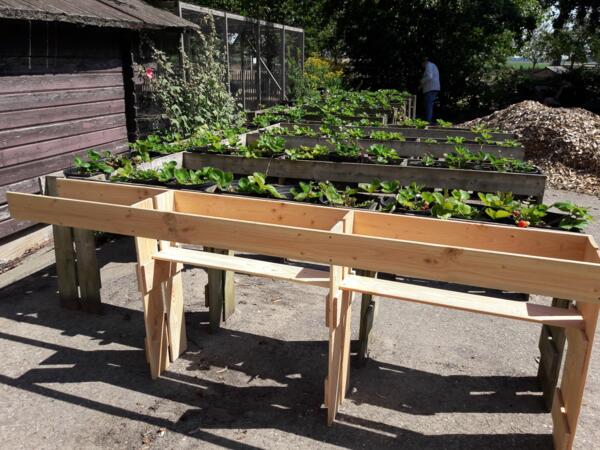 foto_aardbeientafel_deel_af.jpg