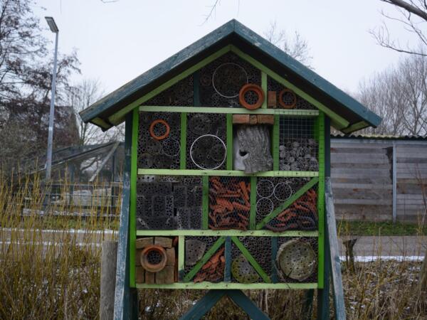 Insekten_Hotel_a.JPG