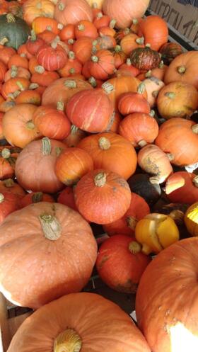 IMG_20200224_WA0008.jpg